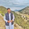 arslanjansibi