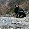 nisar8244559