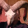 horror_rat_slays