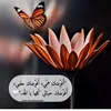 user771356447