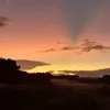 marcelomesquita215