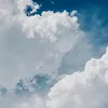 nikonikoooooo2