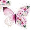 papillon098765