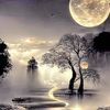 ellastgeorge_677