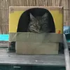poti.tama