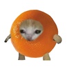 orangesan001