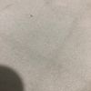 mayitocelesterb