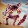 ampianocats