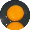 utcer_