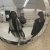 alisha.davis