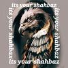 itsyourshahbaz123