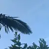 userizy2co738m