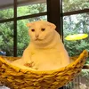 supertictictac