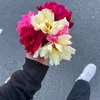 ainasmxf