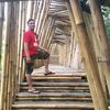 mang_enis