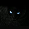 blackheartusd