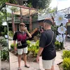 thanhdat0.3