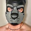 beauthepupp