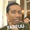 rafael_3_1_1_2_