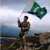 zeshansarwar8