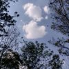 supriyaa_20