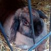 sarah.officieel07