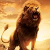 sarkar867