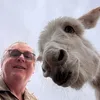 Caenhillcc rescue animals