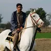 saadigujjar1