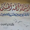 sara_kamal6
