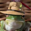 frog_farmer_