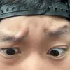 shx2_v