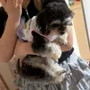 nanamin0920