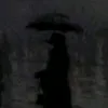 zahrwa_2005