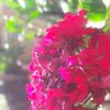 ranaothman1234