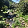 kamaboko356