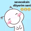 sercant5setir