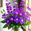 user09406008