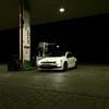 gekon_r