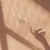 bambiii816