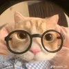 linh_xgaii15