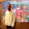 _ren.p4