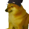 sonnyunu