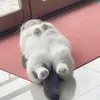mixusappy