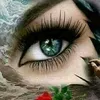 user042712627