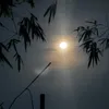 chubekhongten0