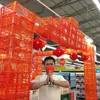 anis_terok