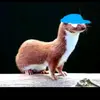 undercover_weasel