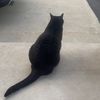 hannybananny8