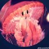 jorgie2417